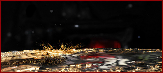 2654342997_17c39ff3d1_z