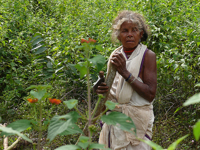 flickr.com/ Rita Willaert/ (CC BY-NC 2.0)