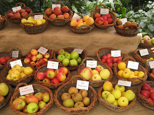 flickr.com/ m.prinke/ (CC BY-SA 2.0)