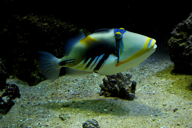 flickr.com/ Missud/ (CC BY-NC-ND 2.0)