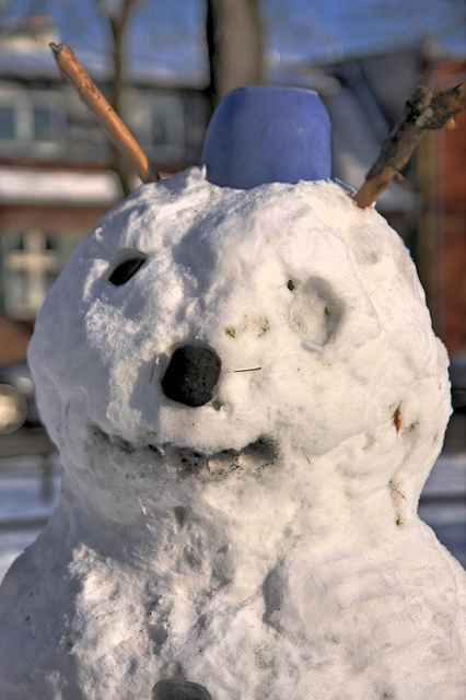 flickr.com/ Jörg Weingrill/ (CC BY 2.0)