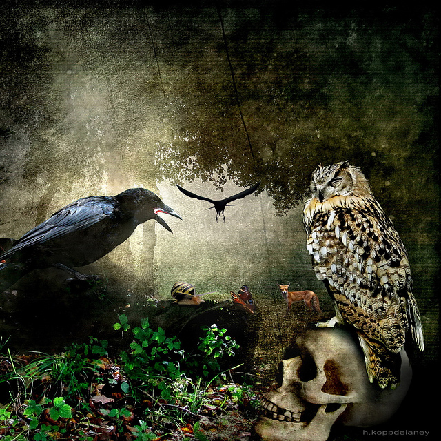 flickr.com/ h.koppdelaney/ (CC BY-ND 2.0)