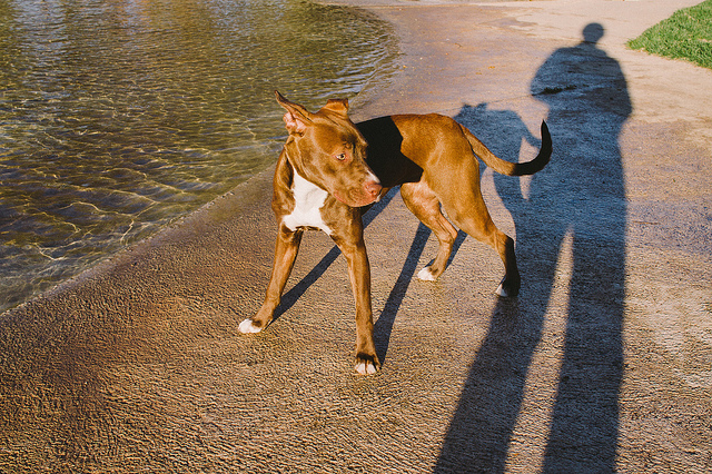 flickr.com/ panaromico/ (CC BY-NC-ND 2.0)