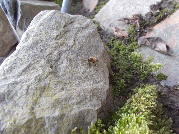  © Photo: Doris Mock-Kamm 