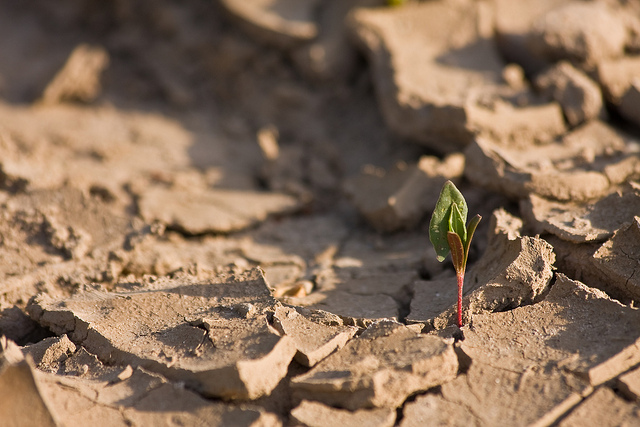 flickr.com/ Steffen O./ (CC BY-SA 2.0)