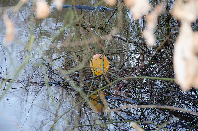 flickr.com/ matthias.penke/ (CC BY-NC-ND 2.0)