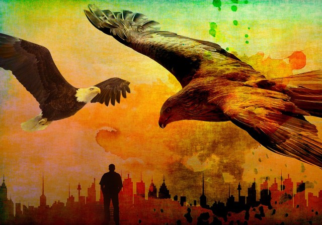 https://pixabay.com/de/schmutz-dreck-fleck-adler-fliegen-873208/