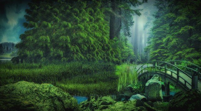 https://pixabay.com/de/wald-natur-br%C3%BCcke-gr%C3%BCn-nebel-1709280/