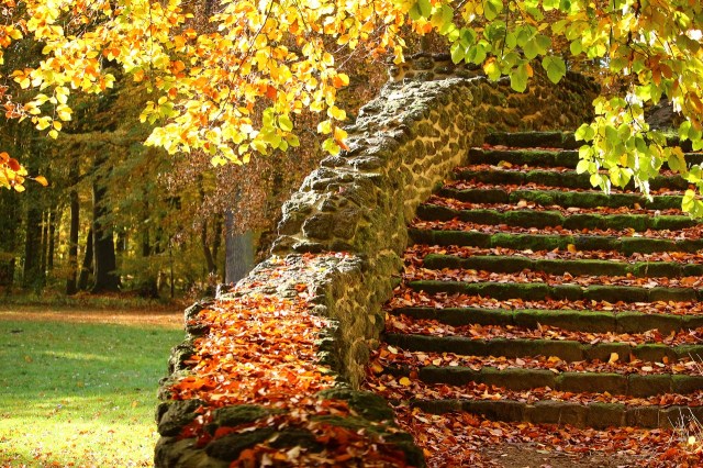 https://pixabay.com/de/treppe-steinstufen-herbst-stufen-1797623/