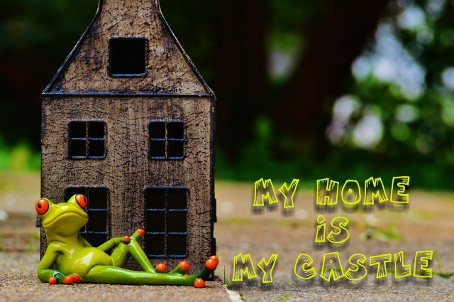 https://pixabay.com/de/frosch-zu-hause-my-home-is-my-castle-986104/