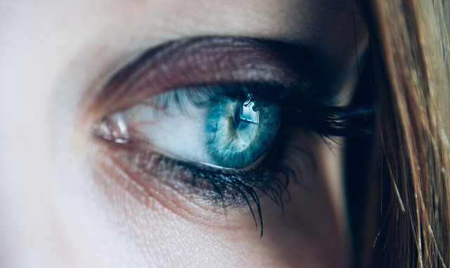 https://pixabay.com/de/nahaufnahme-auge-wimpern-siehe-1837213/