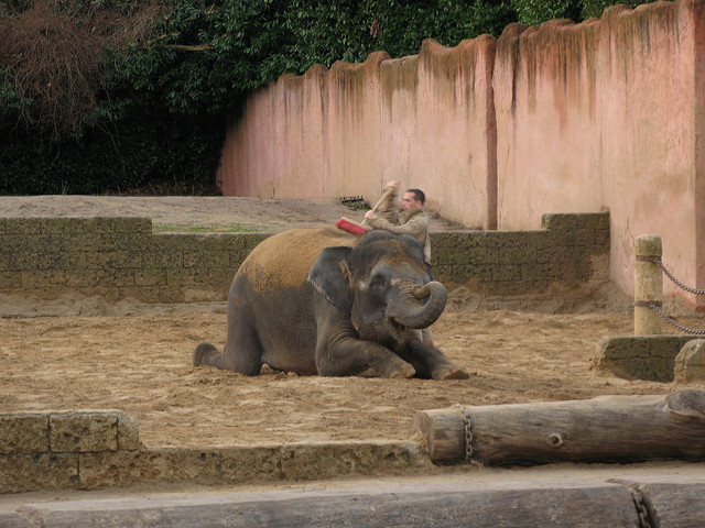 https://www.flickr.com/photos/weiwei/3106992215/sizes/z/