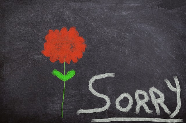 https://pixabay.com/de/tafel-blume-entschuldigung-sorry-1500391/