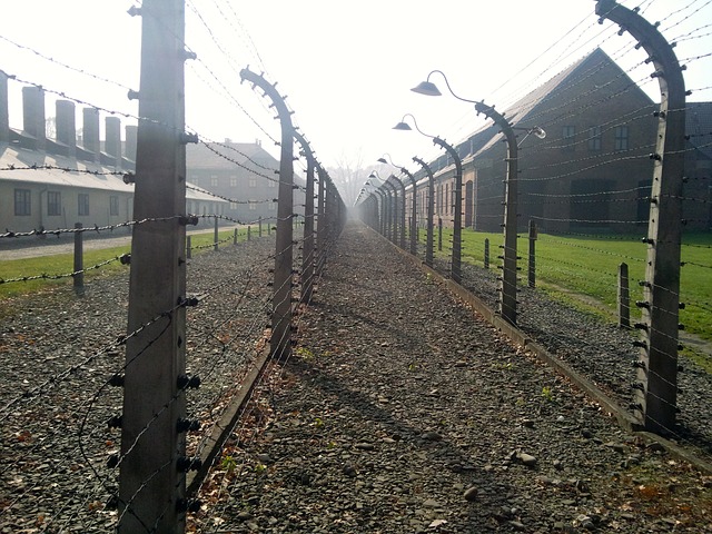 https://pixabay.com/de/konzentrationslager-holocaust-528969/