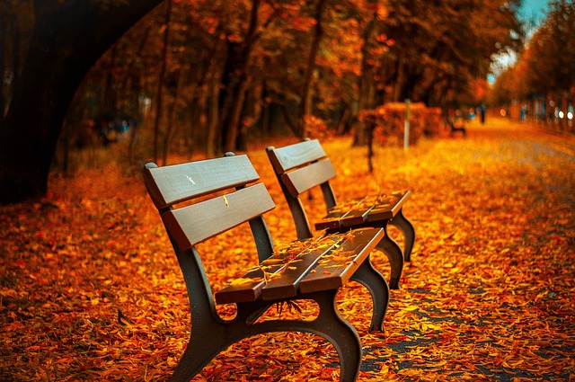 https://pixabay.com/de/bank-herbst-park-rest-sitzen-560435/