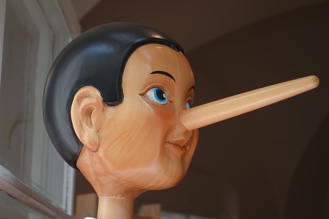 https://pixabay.com/de/pinocchio-nase-l%C3%BCgennase-lang-l%C3%BCge-2917652/