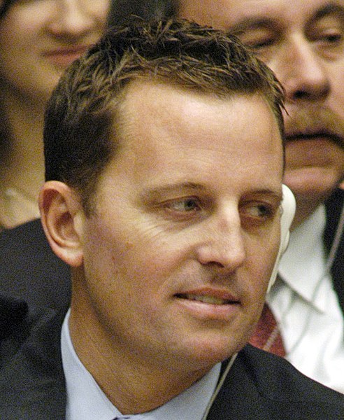 https://upload.wikimedia.org/wikipedia/commons/thumb/1/17/Richard_Grenell_voting_at_a_UN_Security_Council_meeting_%28cropped%29.jpg/492px-Richard_Grenell_voting_at_a_UN_Security_Council_meeting_%28cropped%29.jpg