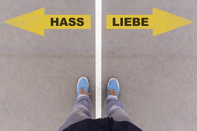 https://pixabay.com/de/liebe-hass-deutsch-text-sprache-2644155/