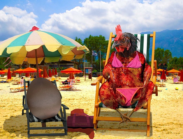 https://pixabay.com/de/huhn-grillhuhn-ei-strand-braun-1545694/