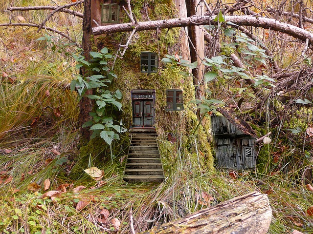 https://pixabay.com/de/elfen-feen-feenwohnung-wald-1202309/