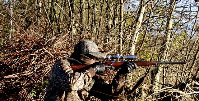 https://pixabay.com/de/jagd-gewehr-waffen-schie%C3%9Fen-hunter-3781222/
