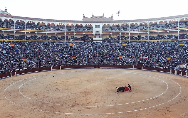 https://pixabay.com/photos/bullfight-torero-corrida-arena-406865/