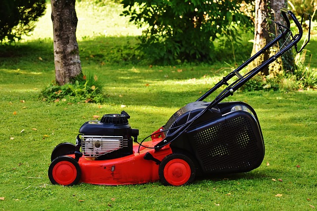 https://pixabay.com/photos/lawn-mower-gardening-mow-cut-grass-1593898/