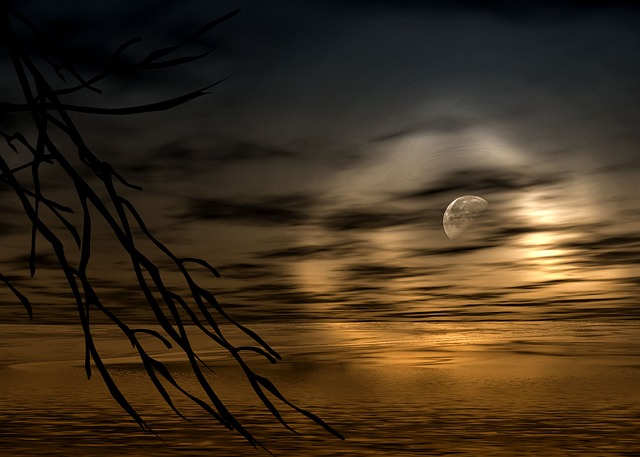 https://pixabay.com/illustrations/moon-clouds-water-full-moon-night-2481232/