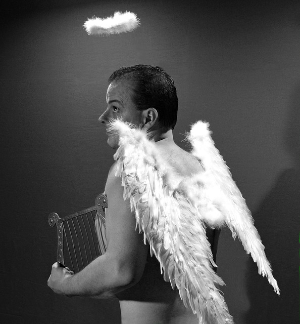 https://pixabay.com/photos/angel-wing-halo-harp-christmas-1884895/