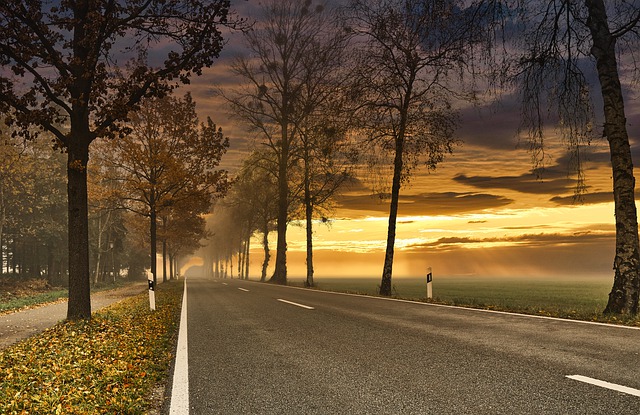 https://pixabay.com/photos/sunset-road-trees-avenue-mood-4655486/
