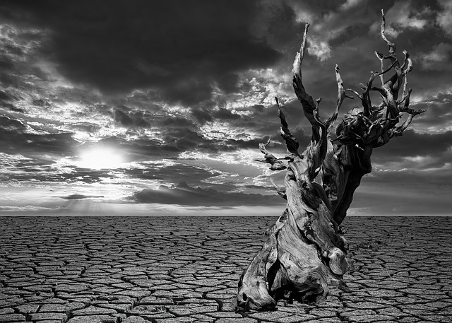 https://pixabay.com/photos/drought-earth-dry-desert-nature-4721400/