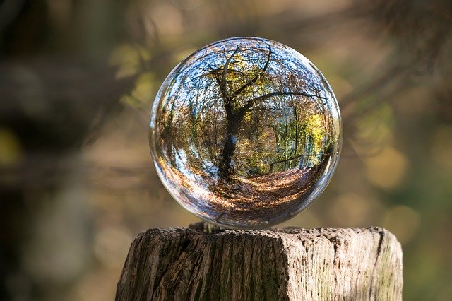 https://pixabay.com/photos/glass-ball-autumn-tree-gnarled-1813707/