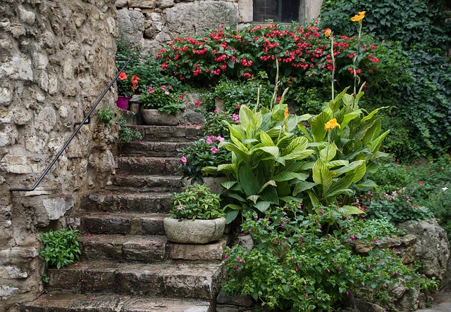 https://pixabay.com/photos/old-house-staircase-village-flower-3759033/