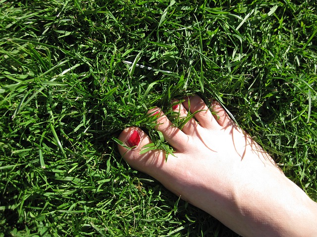 https://pixabay.com/photos/foot-meadow-grass-green-toe-5033/