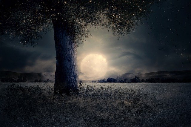 https://pixabay.com/photos/night-landscape-tree-fairy-tale-2539411/