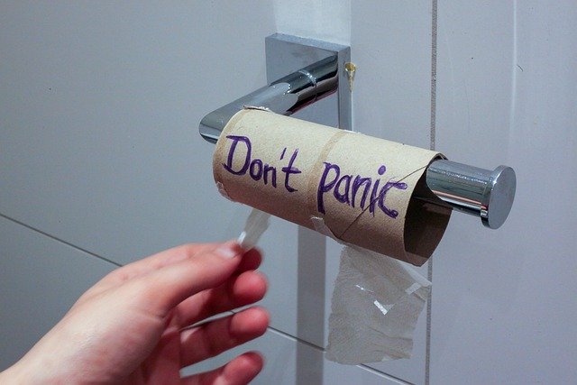 https://pixabay.com/photos/toilet-paper-hamster-purchases-panic-4941768/