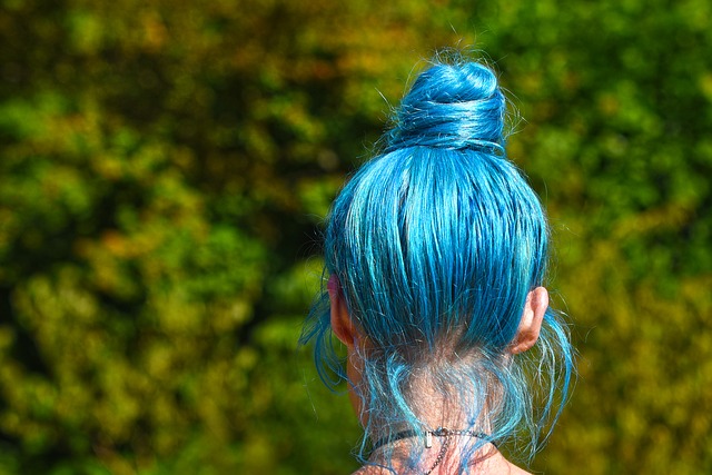 https://pixabay.com/de/photos/blaue-haare-haar-kopf-frau-frisur-3503011/