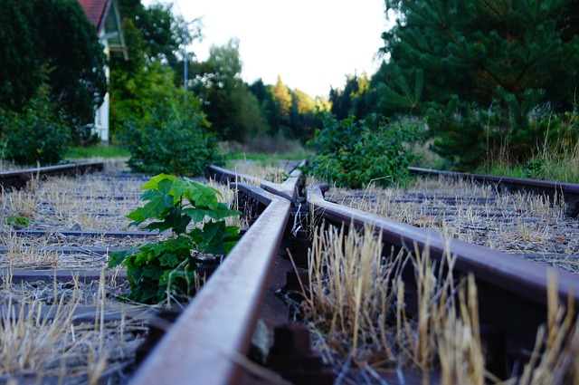 https://pixabay.com/de/photos/gleis-schienen-natur-alt-rost-188026/