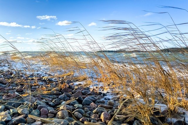 https://pixabay.com/de/photos/meer-reed-strand-welle-natur-2450340/