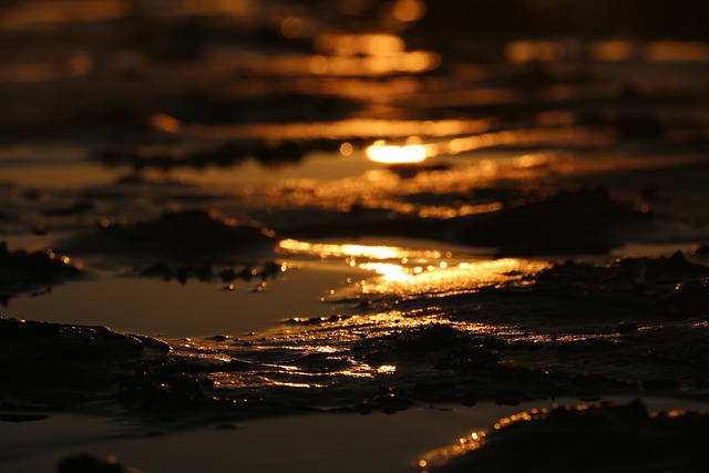 https://pixabay.com/de/photos/sonnenuntergang-schlamm-strand-5653998/