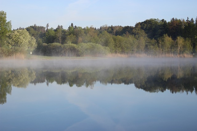 https://pixabay.com/de/photos/see-nebel-wald-wasser-natur-3394011/
