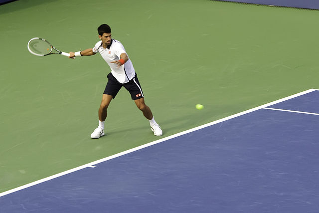 https://upload.wikimedia.org/wikipedia/commons/thumb/e/e3/Novak_%C4%90okovi%C4%87_%28US_Open_2012%29.jpg/640px-Novak_%C4%90okovi%C4%87_%28US_Open_2012%29.jpg