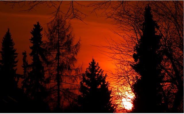https://pixabay.com/de/photos/sonnenuntergang-abendrot-b%c3%a4ume-234246/