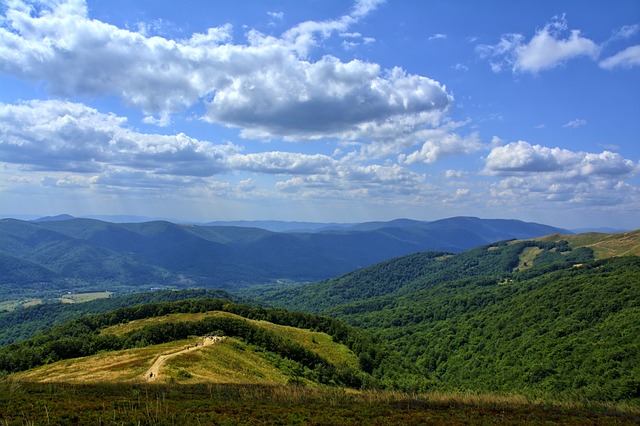 https://pixabay.com/de/photos/bieszczady-raspel-buche-berdo-1002477/