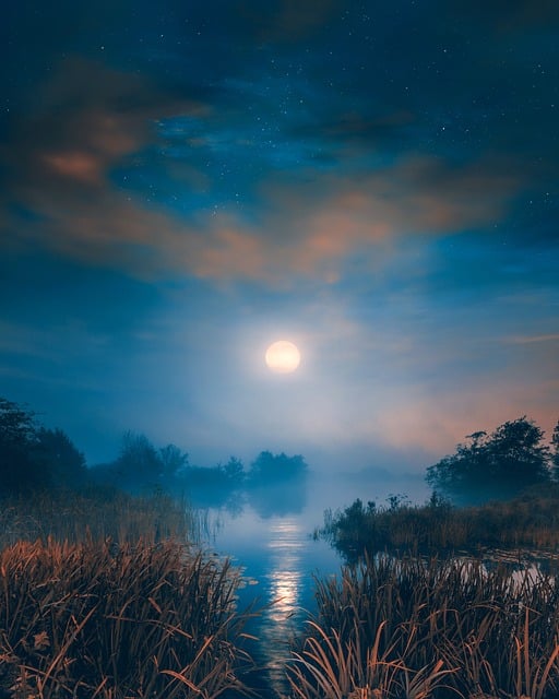 https://pixabay.com/de/photos/fluss-nebel-nacht-see-wolken-wald-8448849/